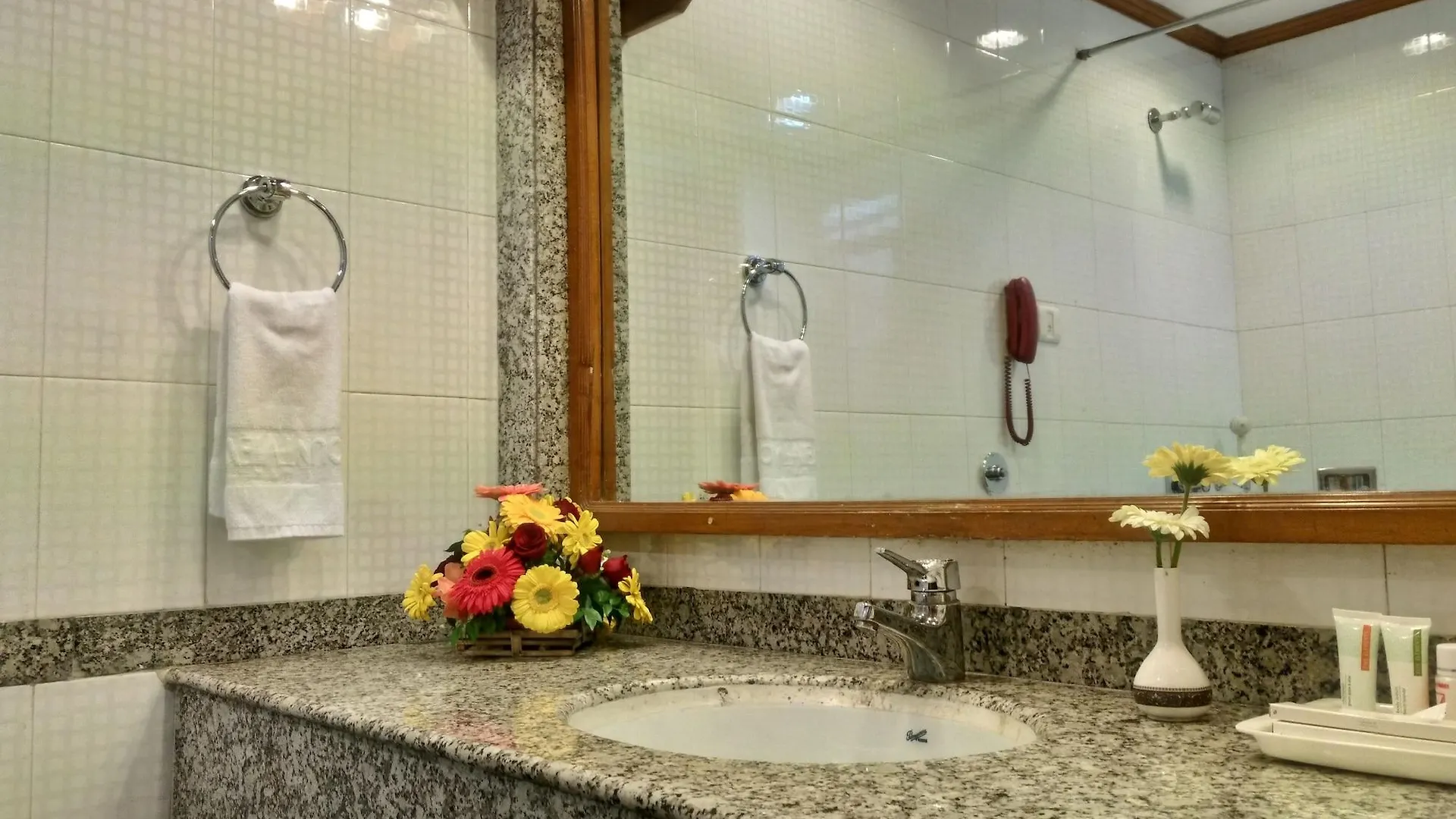 Hotel Mountview Chandigarh